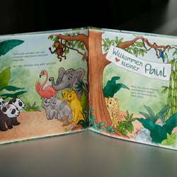 Kinderbuch Illustration Panda