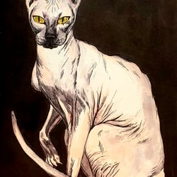 Spynx, A5, Layout Marker