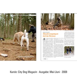 CityDog-3