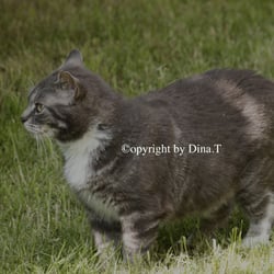Cat 2014 Foto Übung