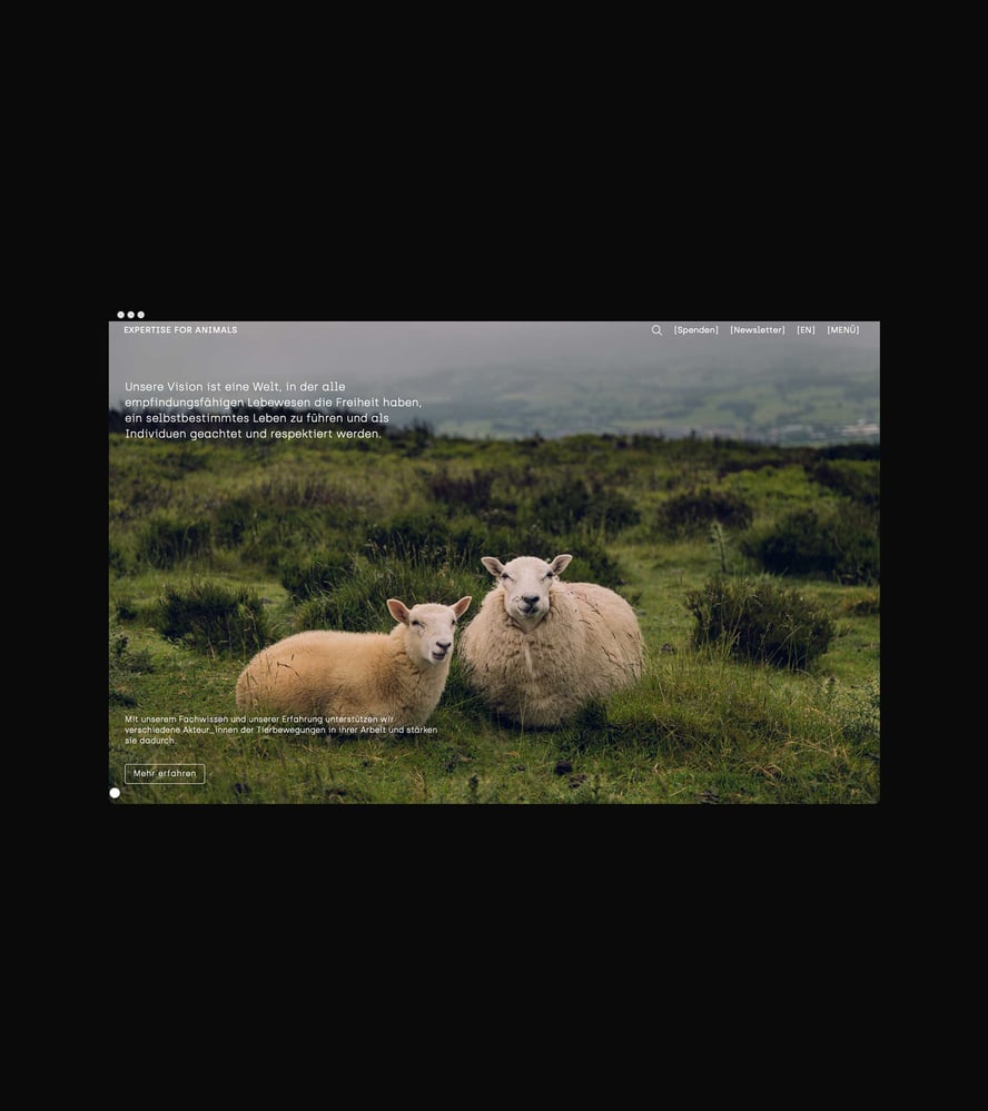 FFINE — EFA