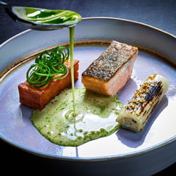Fine Dining – Fisch mit grüner Sauce