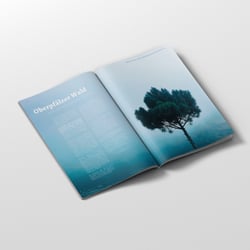 Grafikdesign: Passion Project: Magazinlayout