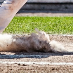 Stuttgart Reds – 1. Baseball Bundesliga