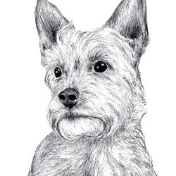 Artboard 1 copy 6−100
