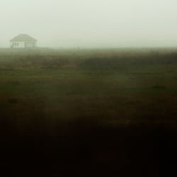 Home.