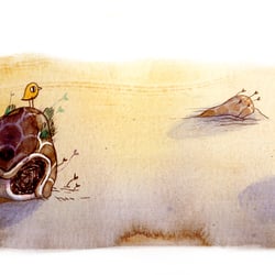 Pinta Riesenschildkröte