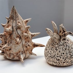 Carola Koch, Samenkapseln, Keramik, 2009 (offenes Atelier)