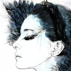 black swan closeup