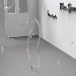 Renderings of the final Sensible event