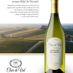 White Wine 3D Product  Add