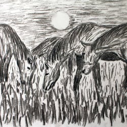 Kohle, 30×21cm