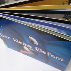 Der kleine Elefant Buch
