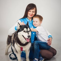 Talking Husky