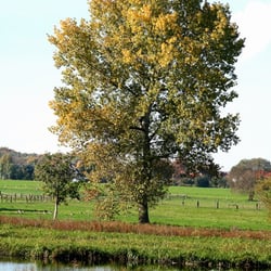 Zwischen Klein Ilsede und Hanndorf 2