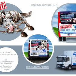 Creation des „Symphatieträgers Schimmel“ – unterschiedlicher Einsatz
