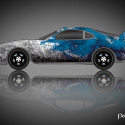 Cardesign_Peniculus