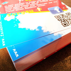 °°°FLYER BACK