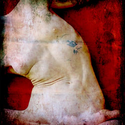 Torso 0674