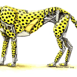 Gepard. 20×30 cm