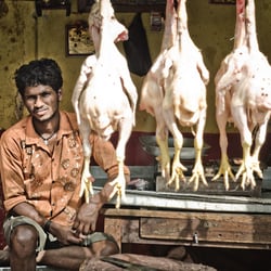 Chicken Market – Hells Kitchen