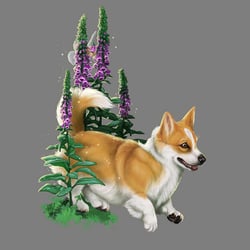 Corgi, auch als Feenhund bezeichnet