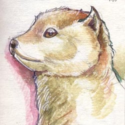 Taxidermy-05