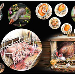 4. Tiere