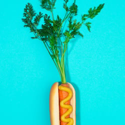 Veggie Hot Dog