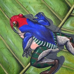 Frosch (Öl)