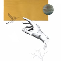 PURSUIT OF THE UNKNOWN