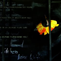 „The Panther“ Verse 1