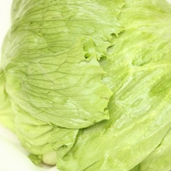 Eisbergsalat Nov. 2012
