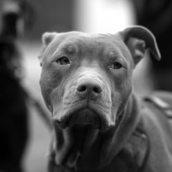 DSC 5561h