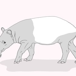 Digital illustration
