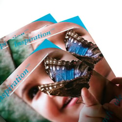 Inspiration – Das Magazin der impulswerkstatt