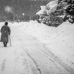 Der Weg nach Hause