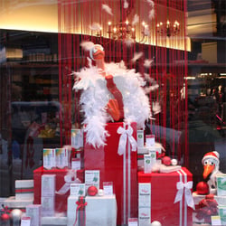 weihnachtsgans apotheke