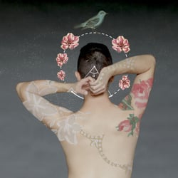 A sacred bird | Back