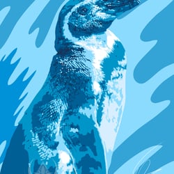 Pinguin | Vektorillustration, Pop Art