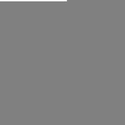 Mein Aufgabendbereich: Corporate Design, Print Design, Editorial Design, Webdesign