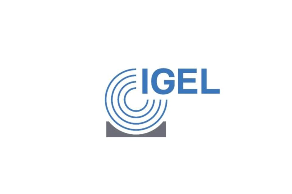 Logo IGEL AG