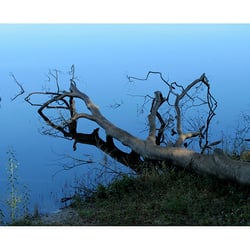 Halterner See