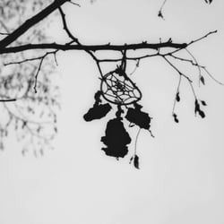 Dreamcatcher