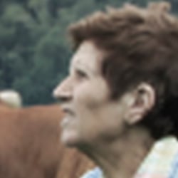 El Camino de Santiago