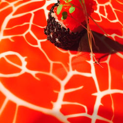 FoodArt