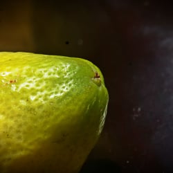 FOOD IDEAS JUN. 2017