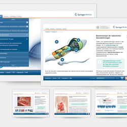Springer Medizin | Ärztezeitung e-Learning | 2011