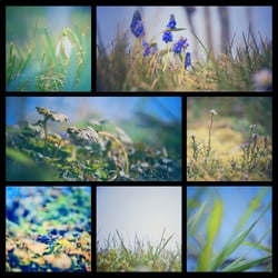 Frühling 2018