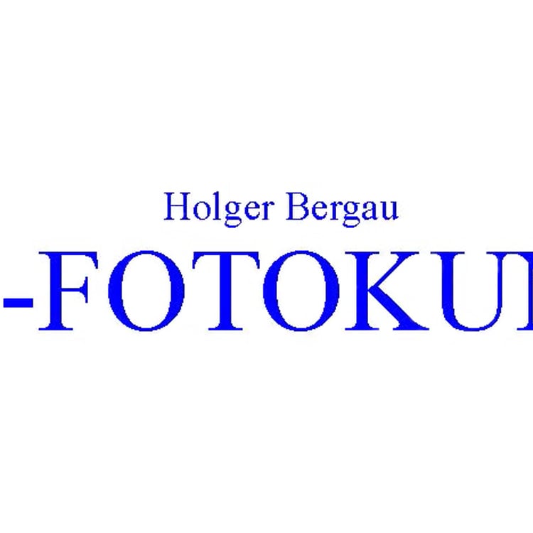 Holger Bergau